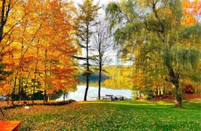 Well appointed lakehouse. Peaceful family fun. - Image 3