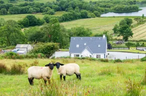 3 bedroom house on a farm , situated on the Beara Way walking trail. - Image 4