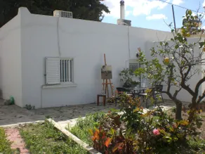Atelie in the Olive Grove - Image 5