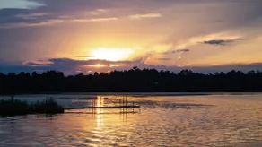 Pedal and Pine on the Lake - Image 5