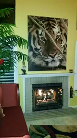Kroll Safari Condo Home w Garage, Wifi & Pets ok - Image 3