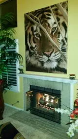 Kroll Safari Condo Home w Garage, Wifi & Pets ok - Image 4
