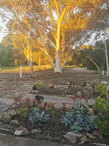 Gladstone Country Retreat - Image 4