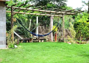 Chácara Sapoti — Analândia - Image 2
