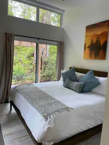 Tofino Rainforest view modern private cabin - Image 4