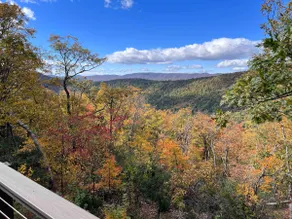 Cozy Cottage - Mountain Views • Fire Pit • Near Wintergreen - Image 4
