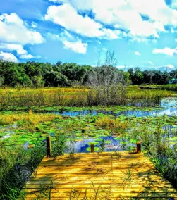 2 miles to Salt Springs | Base camp to the ONF! - Image 2
