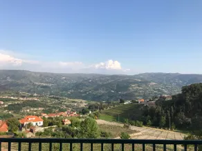 Douro vineyards 1 - Image 2