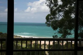 Sea Through the Trees - Image 4