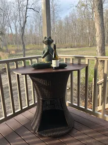 Sanctuary House 2bd 1.5 ba 3 beds fire pit wooded - Image 2