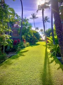 Enjoy the sunset at OCEAN FRONT 1BR Apartment - pool on site! - Image 2