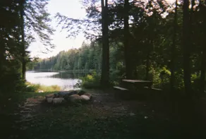 Bear Pause Cabin and Adirondack Shelter - Image 3