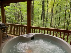Caleb Cabin, private woods, private hot tub - Image 3