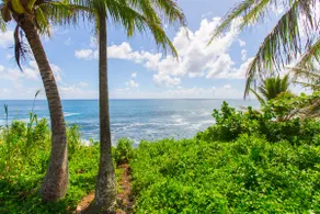 Whale House at Kehena Beach - Image 4