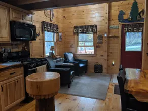 Black Bear's White Mountain Log Cabin w/hot tub - Image 4