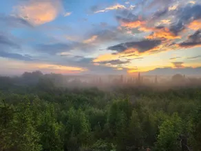 Pine Peak - Your Country Escape - Image 4