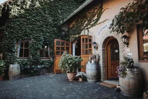 Vendersheim in the heart of Rheinhessen - Image 2