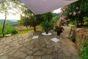 Gipsy Rose - Image 3