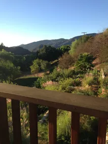 Birds&Bunnies everywhere! *Topanga Canyon* Dogs OK - Image 5