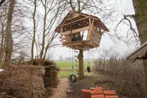 Quiet holiday home near Nijmegen - Image 4