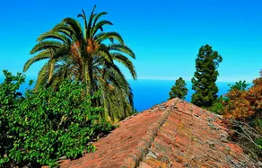 Casa ”Pío” in Tijarafe, La Palma - Image 2