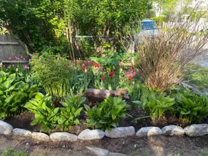 Beautiful Peaks Island 3 bedroom - Image 4