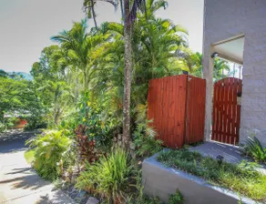 Rain-forest House Cairns - Image 4