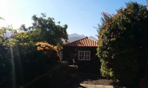 Lovely, warm & Cosy House - Image 3