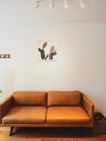 Natural Light Guest Space - Image 2