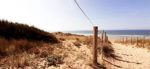 Beautiful new cottage between Sea Countryside Forest - Image 5