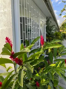 Beautiful 1 Bed Apartment on West Coast - Close to Beach - Image 5