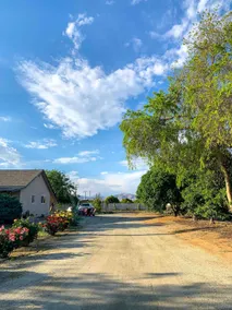 A house in the orange grove - Image 5