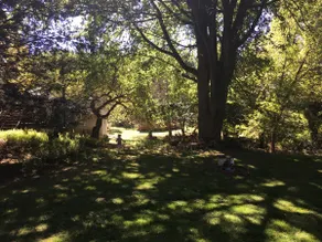 Wildwood: 5-acres of privacy with a pond - Image 5