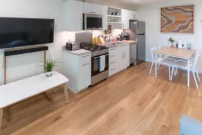 Lil BUB's Really Nice Apartment - EAST - Image 5
