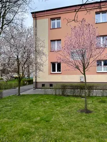 Dobra, wifi, parking, self-check in, Silesia - Image 4