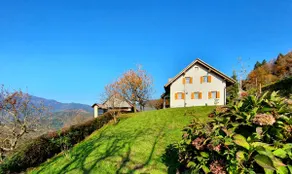 House Pucnk-beautiful countryside - Image 3