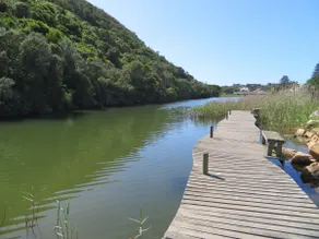 Eleven River Club - Image 2