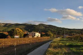Historic nobleman house & pool in the vineyards - Image 4