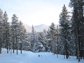 Blue Sky Mountain Ranch - 120 acres! - Image 2