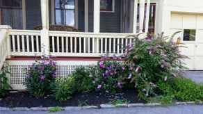 The Gregory House in Southern Maine close to many beaches & popular destinations - Image 3