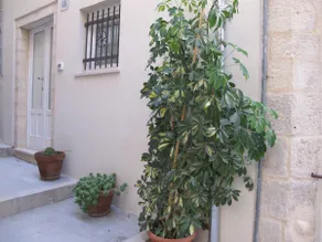 Modica Castle - Image 5
