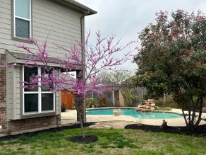 Dallas Plano area home W Pool Game Room NO PARTY - Image 5