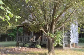 Cozy Cabin minutes from Ocoee and Hiwassee Rivers - Image 3
