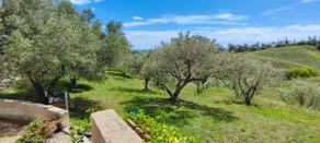 2 bedroom house with pool close to the sea - Image 4