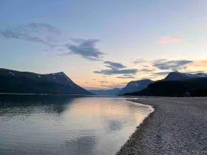 Fjellro - Image 5
