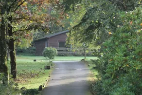 An Oasis of Tranquility - Image 4