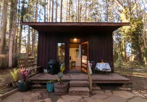 Coastal Forest Cabin, Walk to beach and waterfall - Image 3