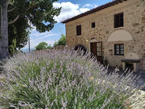 Lovely farmhouse Tuscany - Image 5