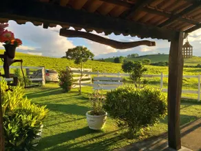 Vale do Palmito Farm/Capitólio, Minas Gerais - Image 4