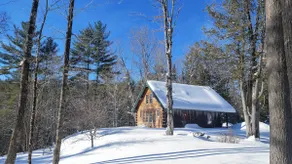 Peaceful Log Cabin in the Woods - Image 2